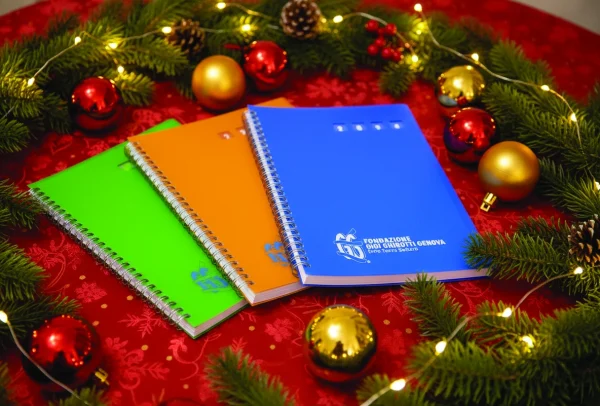 Firefly_Gemini Flash copia